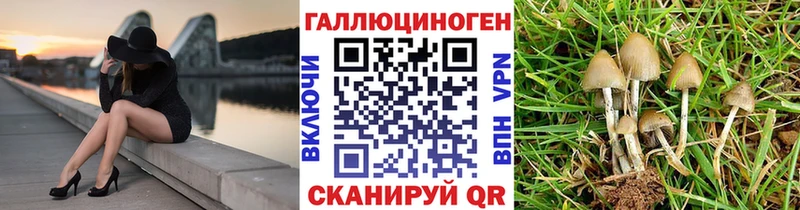 дарнет шоп  Воткинск  дарк нет официальный сайт  Галлюциногенные грибы мицелий 